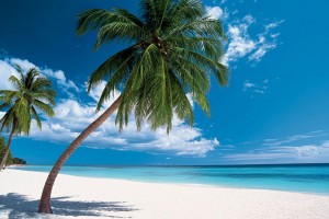 Popular Miami Tourism Promoter Top Vacations Announces Special Summer Packages for Latino Families
