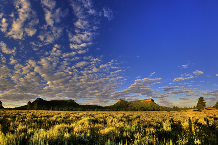 ARTICULO: Coalición de Grupos que Representan a Personas de Color Insta al Presidente Trump a Continuar la Protección del Monumento Nacional de Bears Ears