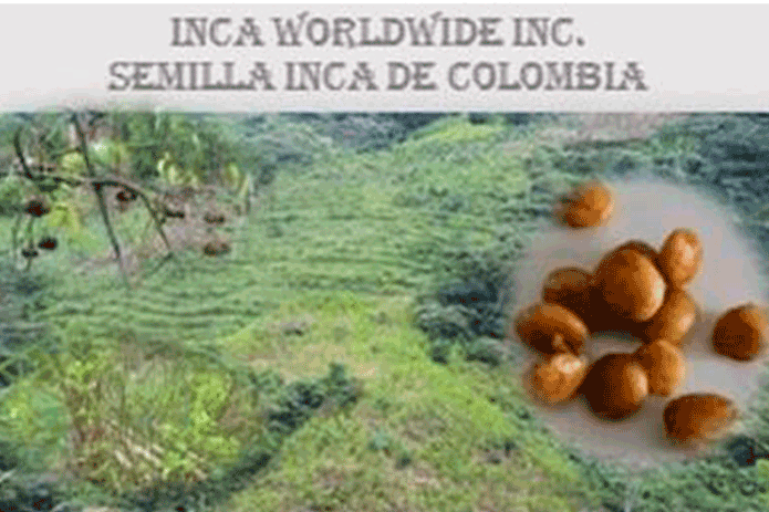 Inca Worldwide (OTC Pink: QEDN) announces signing of agreement with 366 farmers in Cauca, Colombia