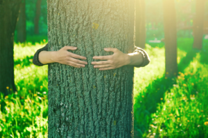 Op-Ed: Forest Bathing Day: Leave Your Swimsuit at Home and Find Health in the Woods