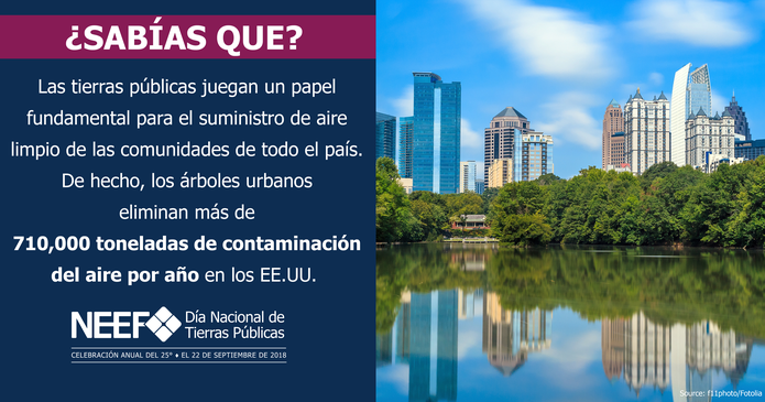 ARTICULO EDITORIAL: Celebremos y conservemos nuestras tierras en común en el Día Nacional de Las Tierras Públicas.