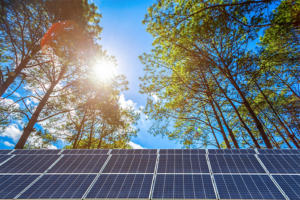 Energía 100 por ciento limpia es 100 por ciento alcanzable