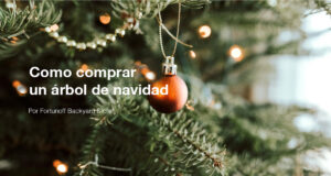 Fortunoff Backyard Store ofrece consejos para elegir el árbol de Navidad perfecto para las Fiestas