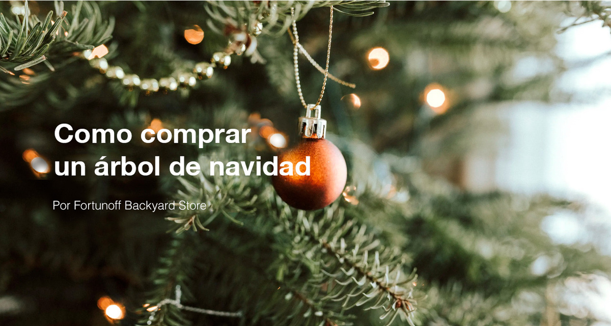 Fortunoff Backyard Store ofrece consejos para elegir el árbol de Navidad perfecto para las Fiestas