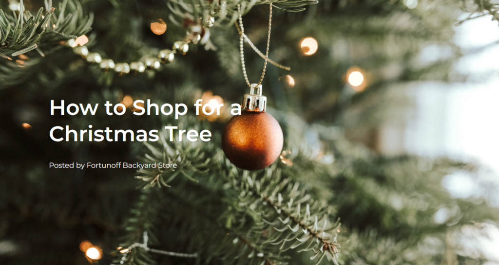 Fortunoff Backyard Store Offers Expert Tips for Choosing the Perfect Christmas Tree