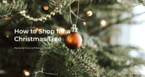 Fortunoff Backyard Store Offers Expert Tips for Choosing the Perfect Christmas Tree