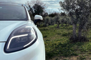Ford nos explica como partes de sus futuros autos podrían fabricarse con aceitunas