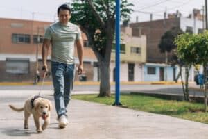 Walk More to Stress Less: Get Moving to Improve Well-Being